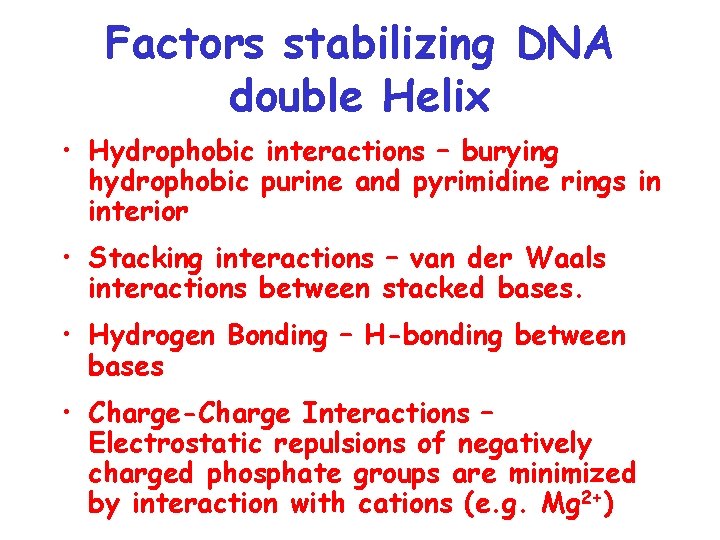 Factors stabilizing DNA double Helix • Hydrophobic interactions – burying hydrophobic purine and pyrimidine