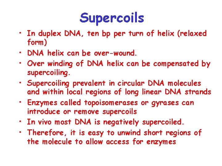 Supercoils • In duplex DNA, ten bp per turn of helix (relaxed form) •