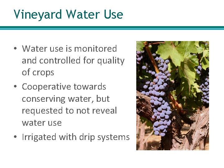 Vineyard Water Use • Water use is monitored and controlled for quality of crops