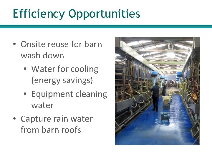 Efficiency Opportunities • Onsite reuse for barn wash down • Water for cooling (energy