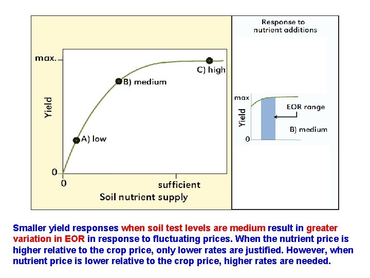 Smaller yield responses when soil test levels are medium result in greater variation in