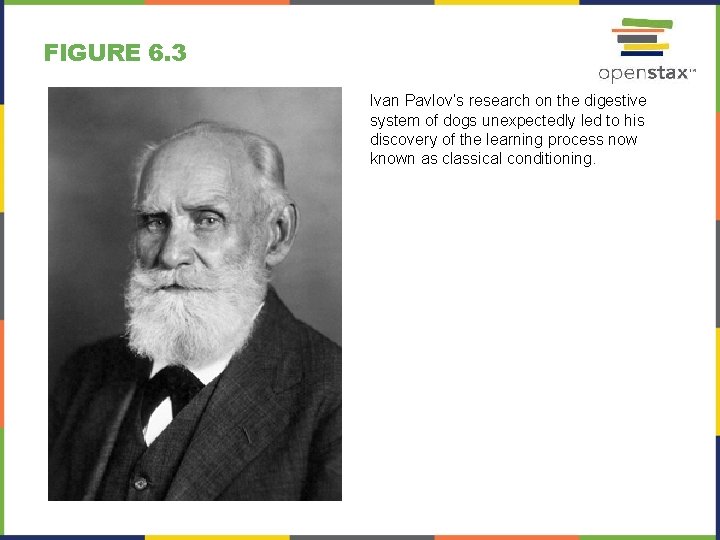 FIGURE 6. 3 Ivan Pavlov’s research on the digestive system of dogs unexpectedly led FIGURE 6. 3 Ivan Pavlov’s research on the digestive system of dogs unexpectedly led
