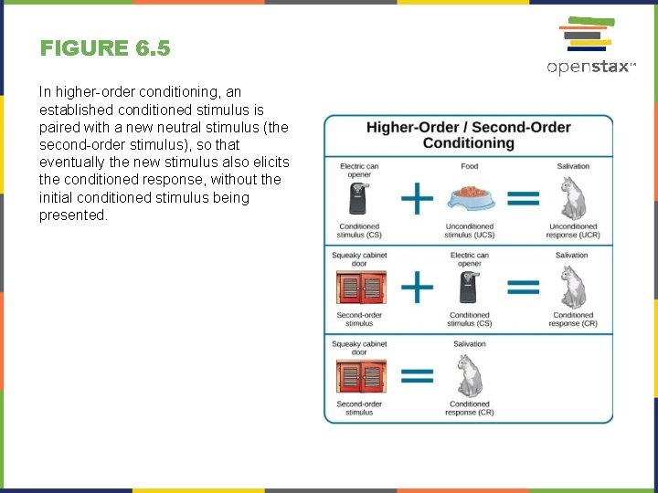FIGURE 6. 5 In higher-order conditioning, an established conditioned stimulus is paired with a FIGURE 6. 5 In higher-order conditioning, an established conditioned stimulus is paired with a