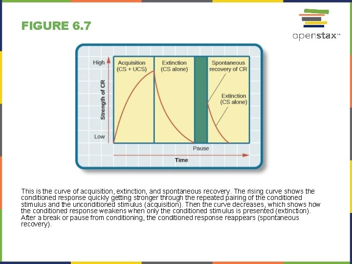 FIGURE 6. 7 This is the curve of acquisition, extinction, and spontaneous recovery. The FIGURE 6. 7 This is the curve of acquisition, extinction, and spontaneous recovery. The