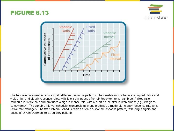 FIGURE 6. 13 The four reinforcement schedules yield different response patterns. The variable ratio FIGURE 6. 13 The four reinforcement schedules yield different response patterns. The variable ratio