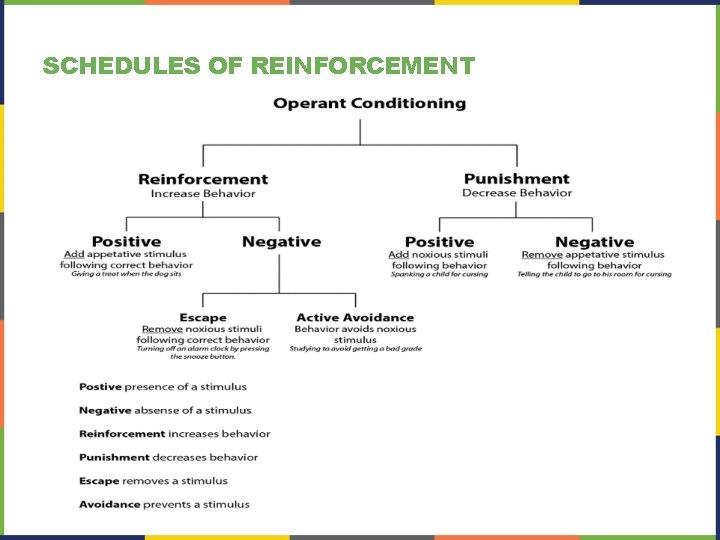 SCHEDULES OF REINFORCEMENT SCHEDULES OF REINFORCEMENT