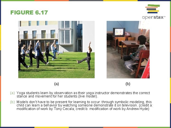 FIGURE 6. 17 (a) Yoga students learn by observation as their yoga instructor demonstrates FIGURE 6. 17 (a) Yoga students learn by observation as their yoga instructor demonstrates