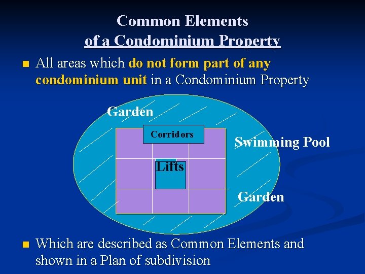 Common Elements of a Condominium Property n All areas which do not form part