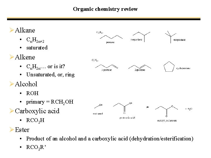 Organic chemistry review ØAlkane • Cn. H 2 n+2 • saturated ØAlkene • Cn.