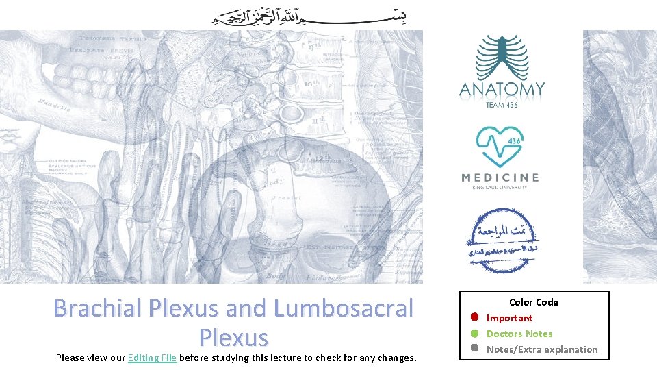 Brachial Plexus and Lumbosacral Plexus Please view our Editing File before studying this lecture