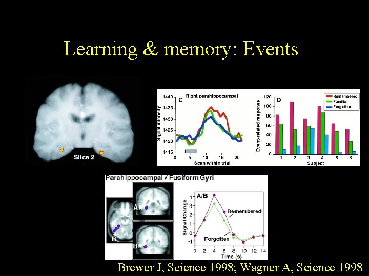 Learning & memory: Events Brewer J, Science 1998; Wagner A, Science 1998 
