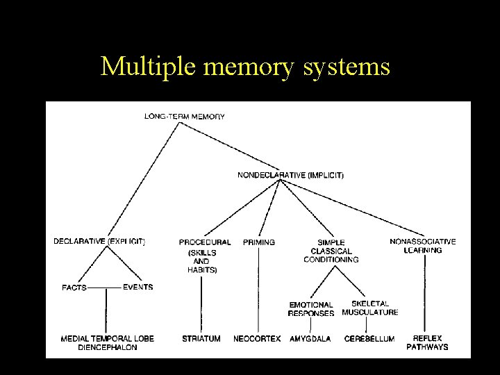 Multiple memory systems 