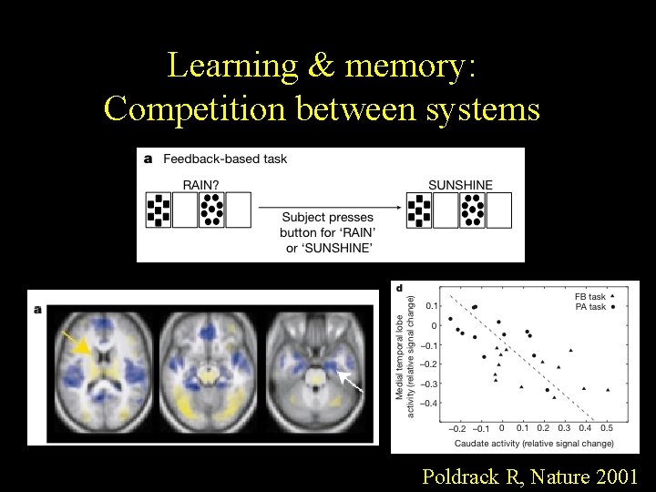 Learning & memory: Competition between systems Poldrack R, Nature 2001 