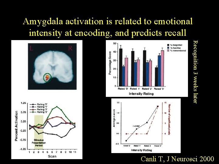 Amygdala activation is related to emotional intensity at encoding, and predicts recall Recognition 3