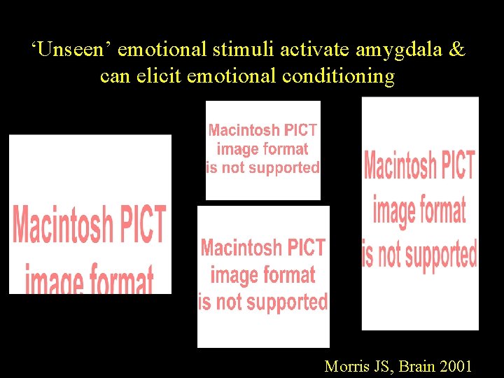 ‘Unseen’ emotional stimuli activate amygdala & can elicit emotional conditioning Morris JS, Brain 2001