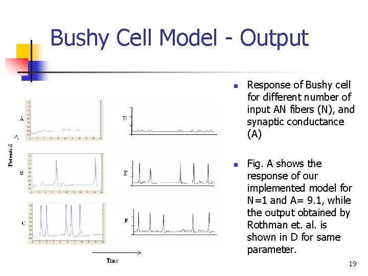 Bushy Cell Model - Output n n Response of Bushy cell for different number