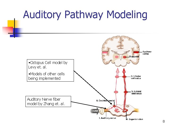 Auditory Pathway Modeling • Octopus Cell model by Levy et. al. • Models of