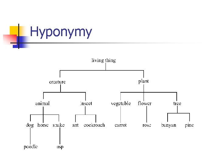 Hyponymy 