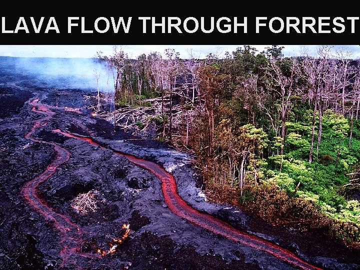 LAVA FLOW THROUGH FORREST 