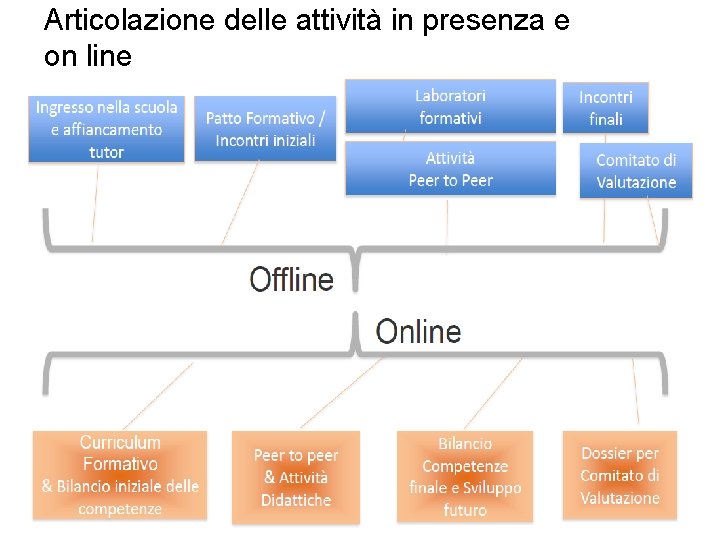 Articolazione delle attività in presenza e on line 34 