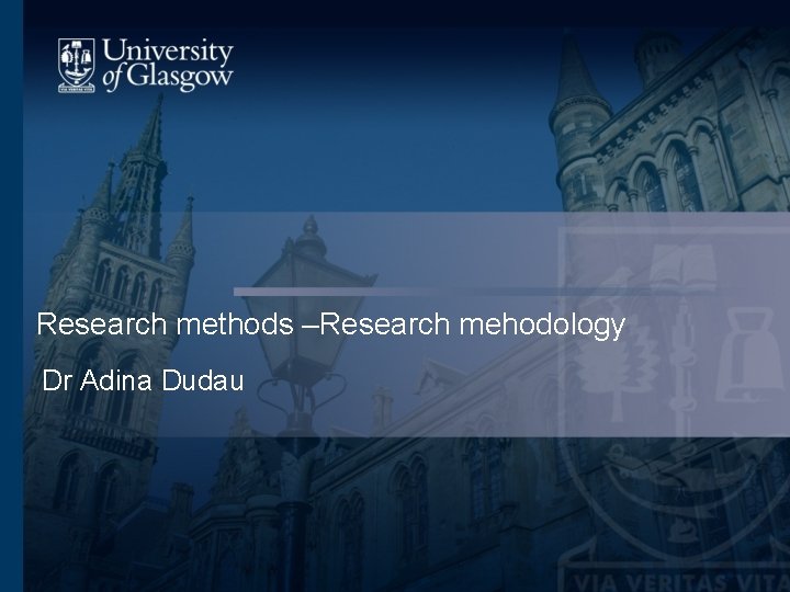 Research methods –Research mehodology Dr Adina Dudau 