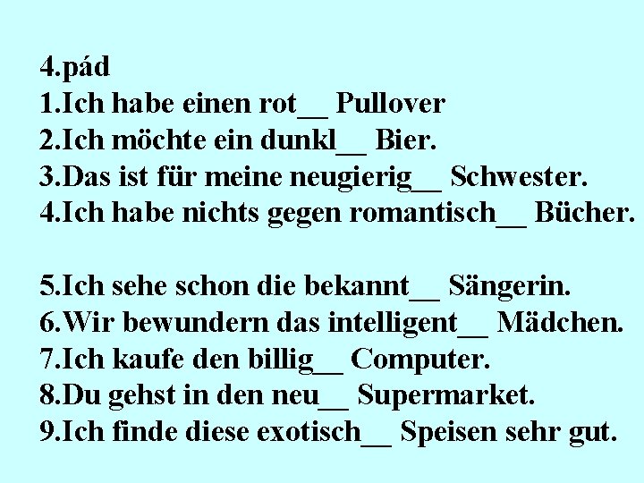 4. pád 1. Ich habe einen rot__ Pullover 2. Ich möchte ein dunkl__ Bier.