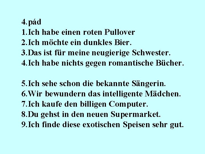 4. pád 1. Ich habe einen roten Pullover 2. Ich möchte ein dunkles Bier.