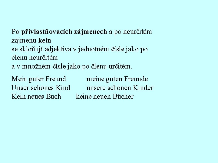 Po přivlastňovacích zájmenech a po neurčitém zájmenu kein se skloňují adjektiva v jednotném čísle