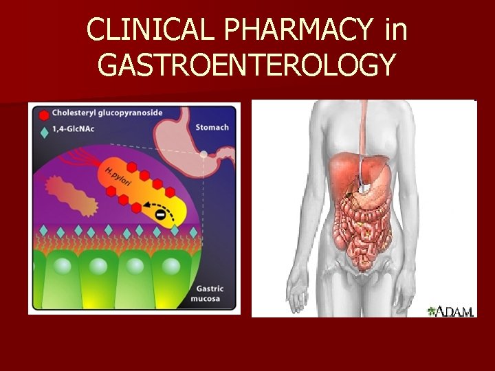 CLINICAL PHARMACY in GASTROENTEROLOGY 