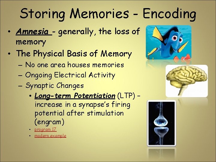 Storing Memories - Encoding • Amnesia - generally, the loss of memory • The