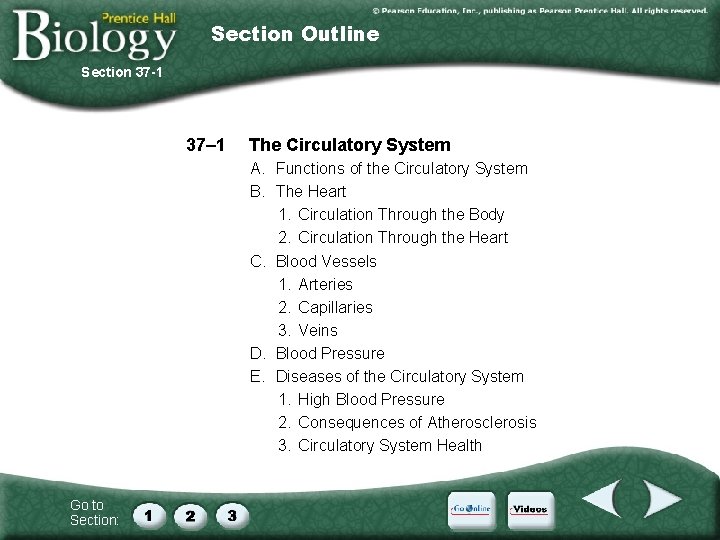 Section Outline Section 37 -1 37– 1 The Circulatory System A. Functions of the