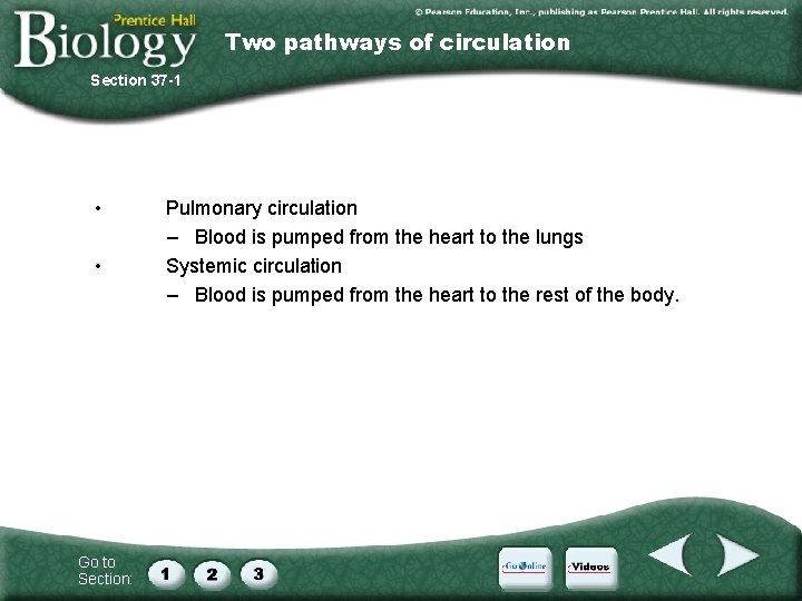 Two pathways of circulation Section 37 -1 • • Go to Section: Pulmonary circulation