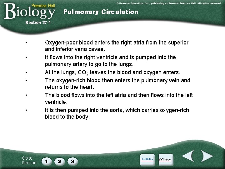 Pulmonary Circulation Section 37 -1 • • • Go to Section: Oxygen-poor blood enters