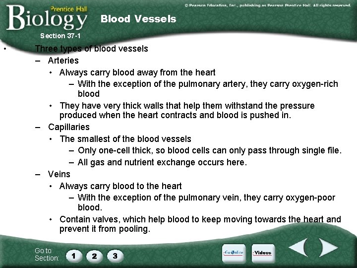 Blood Vessels Section 37 -1 • Three types of blood vessels – Arteries •