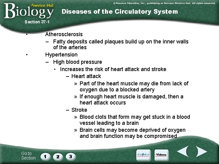 Diseases of the Circulatory System Section 37 -1 • • Go to Section: Atherosclerosis