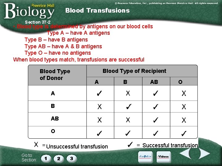 Blood Transfusions Section 37 -2 • Blood type is determined by antigens on our