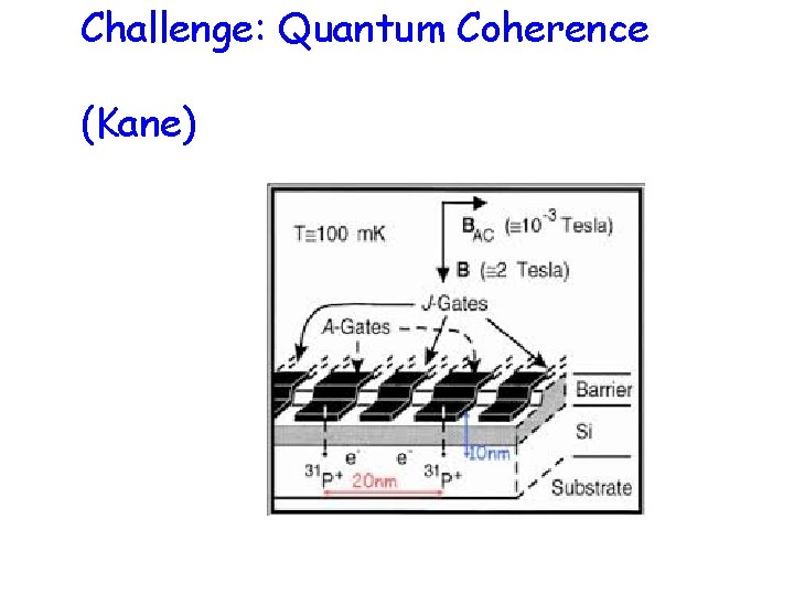 Challenge: Quantum Coherence (Kane) 