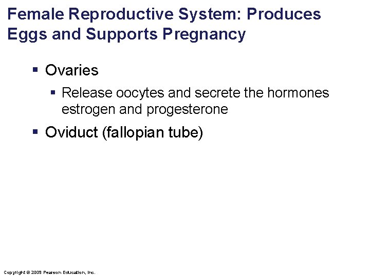 Female Reproductive System: Produces Eggs and Supports Pregnancy § Ovaries § Release oocytes and