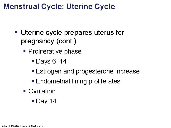 Menstrual Cycle: Uterine Cycle § Uterine cycle prepares uterus for pregnancy (cont. ) §