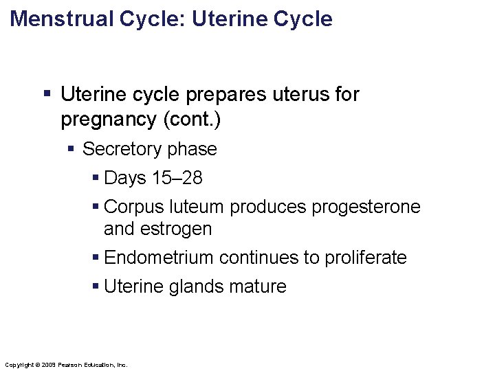 Menstrual Cycle: Uterine Cycle § Uterine cycle prepares uterus for pregnancy (cont. ) §