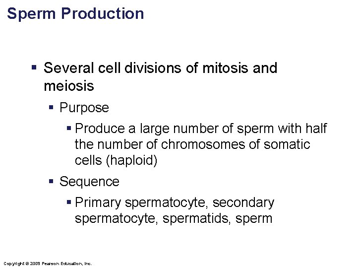 Sperm Production § Several cell divisions of mitosis and meiosis § Purpose § Produce