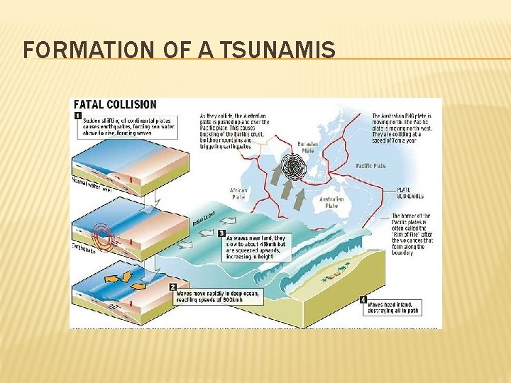 FORMATION OF A TSUNAMIS 