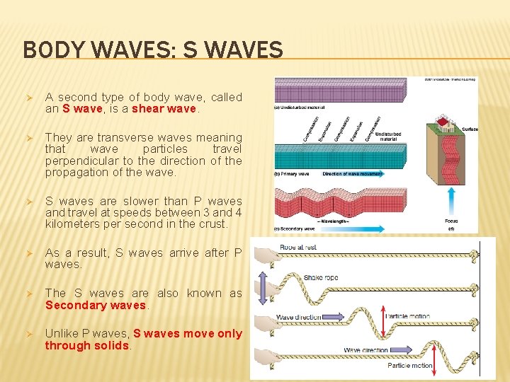 BODY WAVES: S WAVES Ø A second type of body wave, called an S