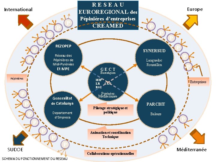 RESEAU EUROREGIONAL des International Europe Pépinières d’entreprises P CREAMED P P P REZOPEP P