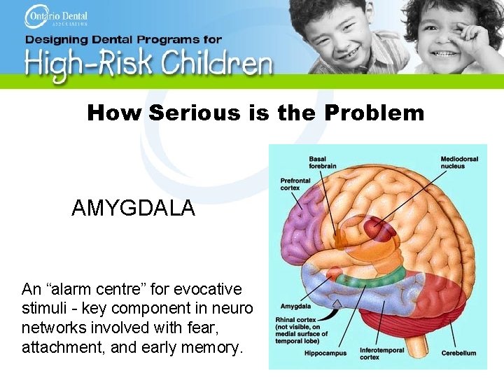 How Serious is the Problem AMYGDALA An “alarm centre” for evocative stimuli - key