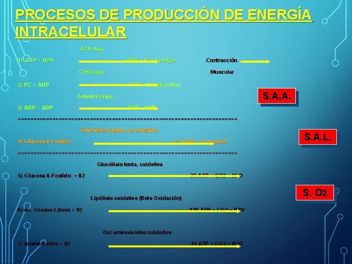 PROCESOS DE PRODUCCIÓN DE ENERGÍA INTRACELULAR ATP-Asa 1) ATP + H 2 O ADP