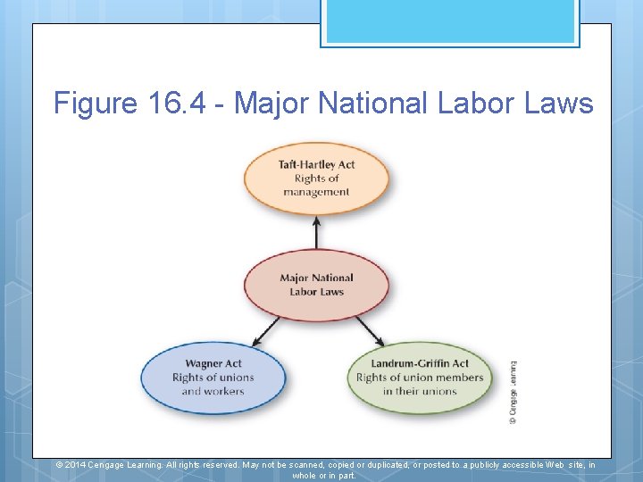 Figure 16. 4 - Major National Labor Laws © 2014 Cengage Learning. All rights Figure 16. 4 - Major National Labor Laws © 2014 Cengage Learning. All rights