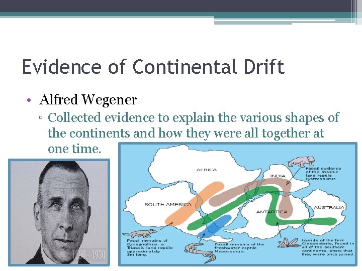 Evidence of Continental Drift • Alfred Wegener ▫ Collected evidence to explain the various