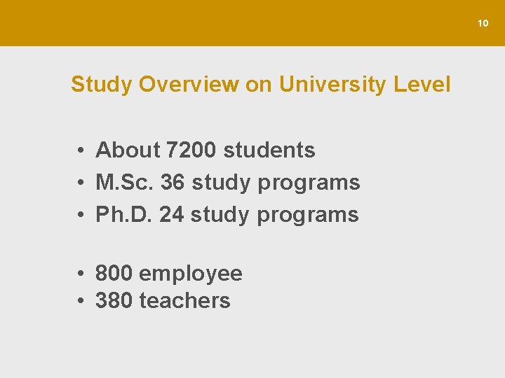10 Study Overview on University Level • About 7200 students • M. Sc. 36