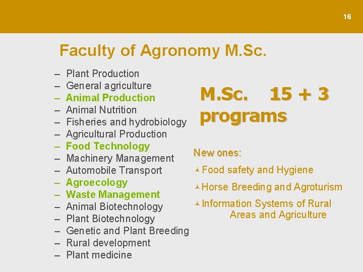 16 Faculty of Agronomy M. Sc. – – – – Plant Production General agriculture
